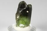 Olivine Peridot Crystal with Ludwigite Inclusions - Pakistan #185252-1